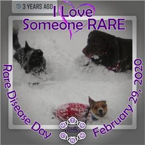 Meet your Posher, Mel